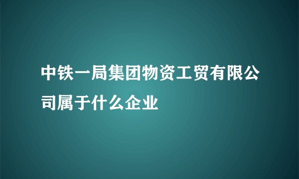 中铁一局集团物资工贸有限公司属于什么企业