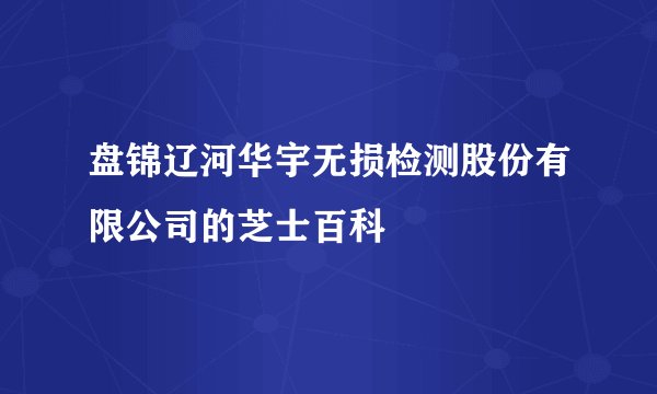 盘锦辽河华宇无损检测股份有限公司的芝士百科