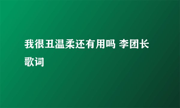我很丑温柔还有用吗 李团长 歌词