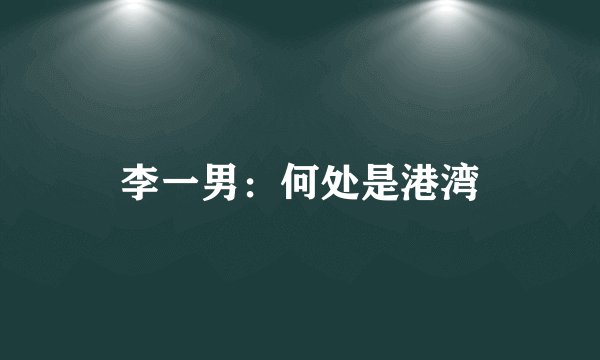 李一男：何处是港湾