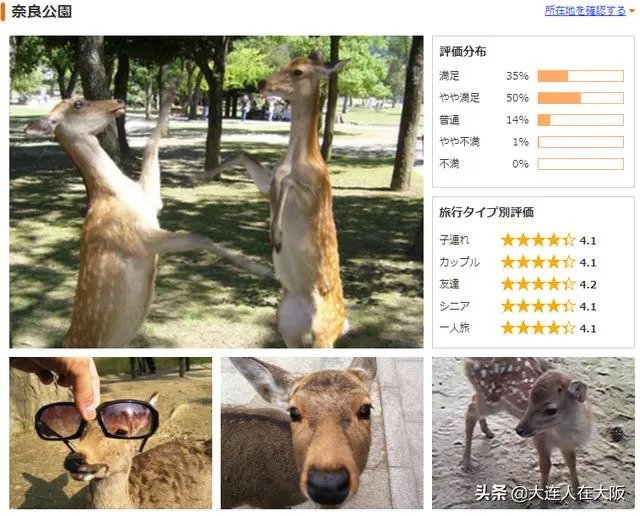 奈良的旅游成本大概是多少?如何规划?
