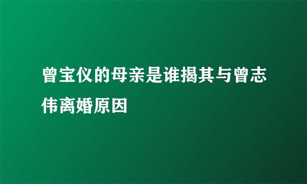 曾宝仪的母亲是谁揭其与曾志伟离婚原因