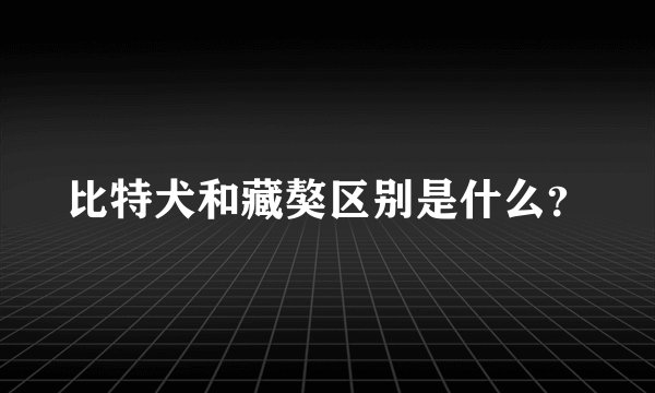 比特犬和藏獒区别是什么？