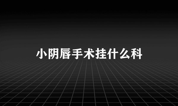 小阴唇手术挂什么科