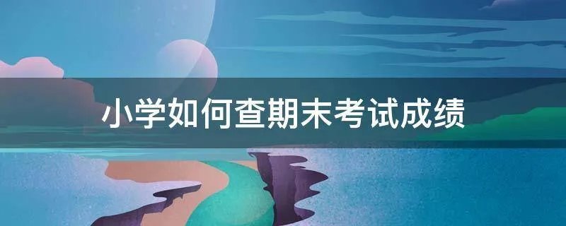 小学如何查期末考试成绩