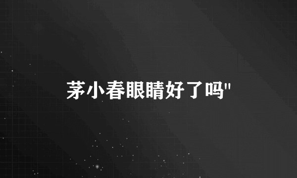 茅小春眼睛好了吗