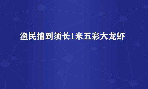 渔民捕到须长1米五彩大龙虾