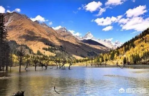 不光有银发族还有90后,赴俄旅游为何越来越火?
