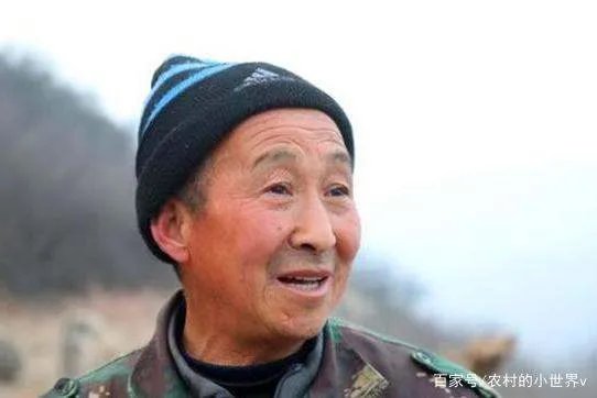 山西大爷发现“怪鸟”,坚持投喂4年,后来怎样了?