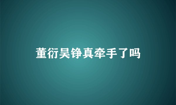 董衍吴铮真牵手了吗