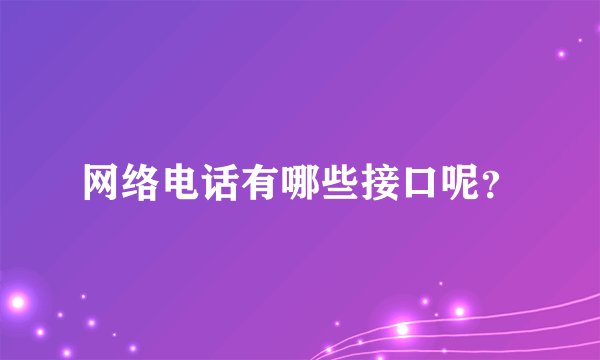 网络电话有哪些接口呢？