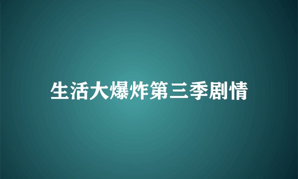 生活大爆炸第三季剧情