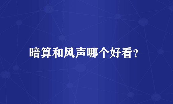 暗算和风声哪个好看？