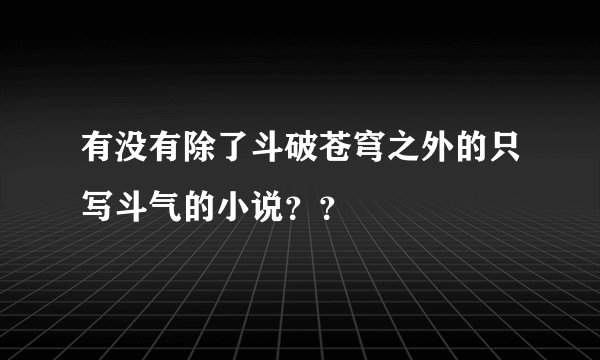 有没有除了斗破苍穹之外的只写斗气的小说？？