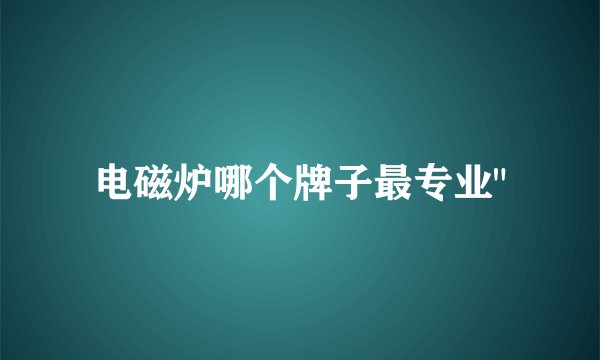 电磁炉哪个牌子最专业