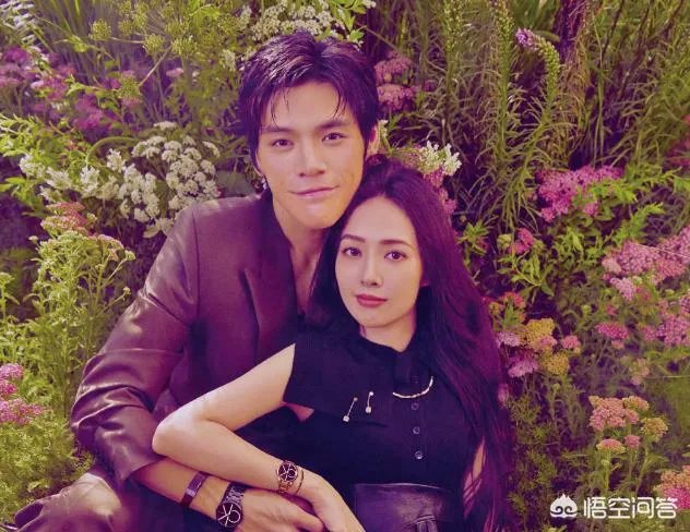 如何看待向佐和郭碧婷的恋情,你觉得他们般配吗?