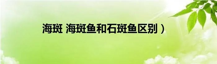 海斑 海斑鱼和石斑鱼区别)