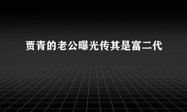 贾青的老公曝光传其是富二代