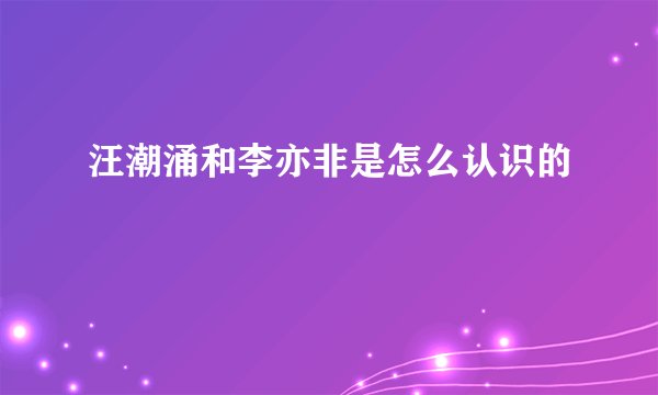 汪潮涌和李亦非是怎么认识的