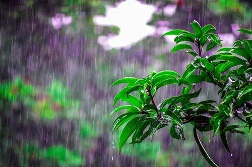 果蔬美容禁忌多 使用果蔬抹脸的注意事项