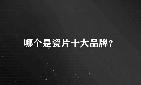 哪个是瓷片十大品牌？