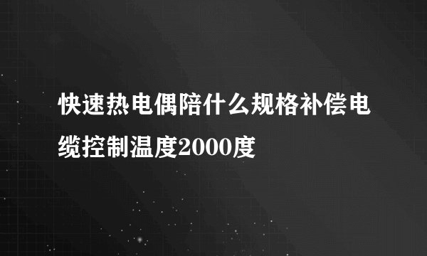快速热电偶陪什么规格补偿电缆控制温度2000度