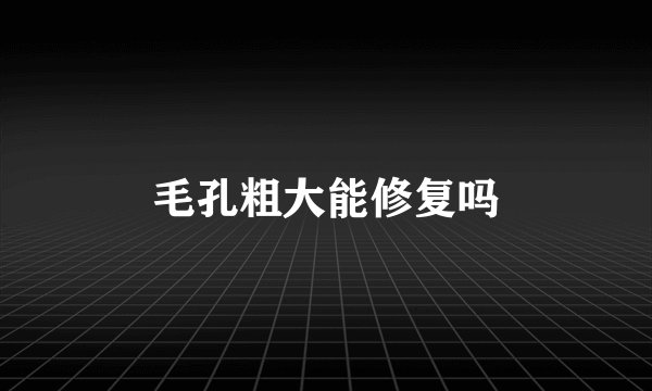 毛孔粗大能修复吗