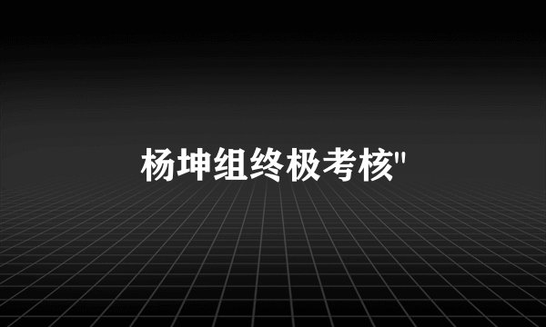 杨坤组终极考核