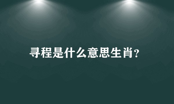 寻程是什么意思生肖？