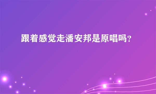 跟着感觉走潘安邦是原唱吗？