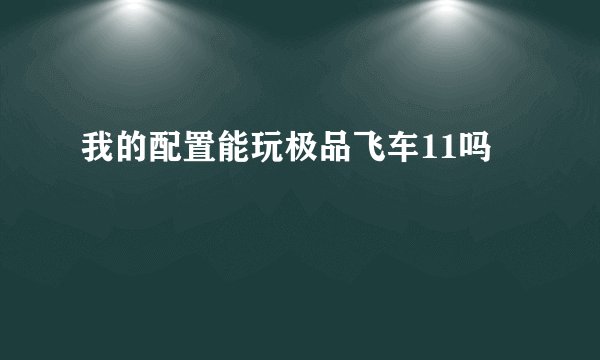 我的配置能玩极品飞车11吗