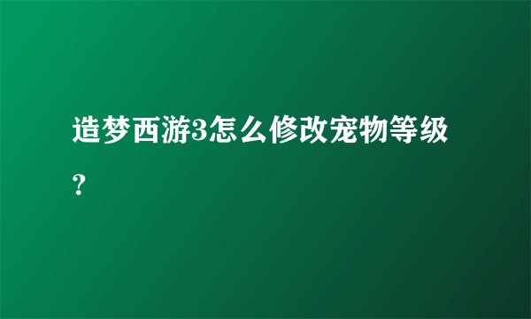 造梦西游3怎么修改宠物等级？