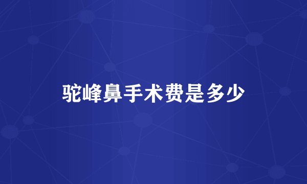 驼峰鼻手术费是多少
