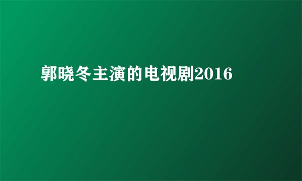 郭晓冬主演的电视剧2016