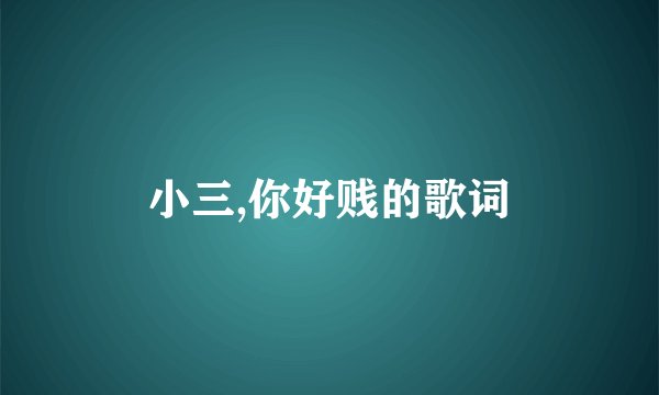 小三,你好贱的歌词