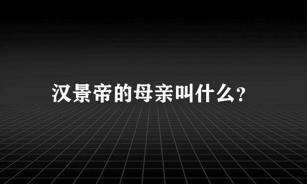 汉景帝的母亲叫什么？