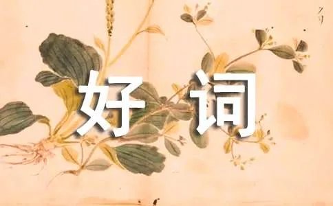 描写树的好词佳句