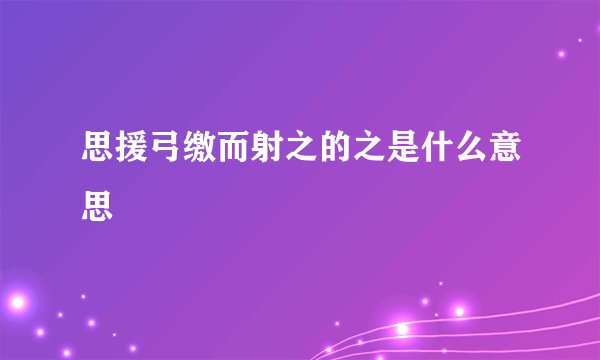 思援弓缴而射之的之是什么意思