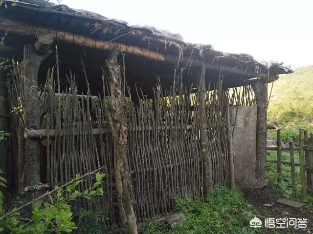 重庆今年将建设“四好农村路”2.4万公里，你怎么看？