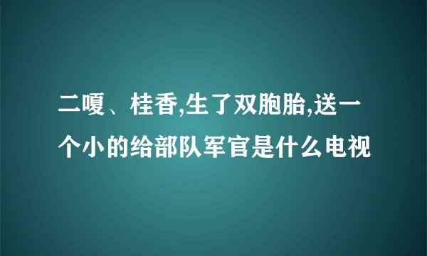 二嗄、桂香,生了双胞胎,送一个小的给部队军官是什么电视