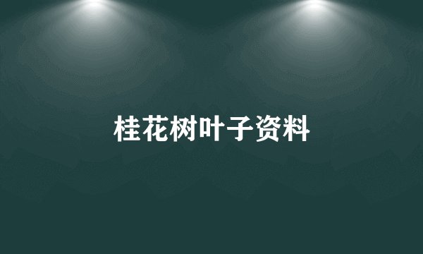 桂花树叶子资料