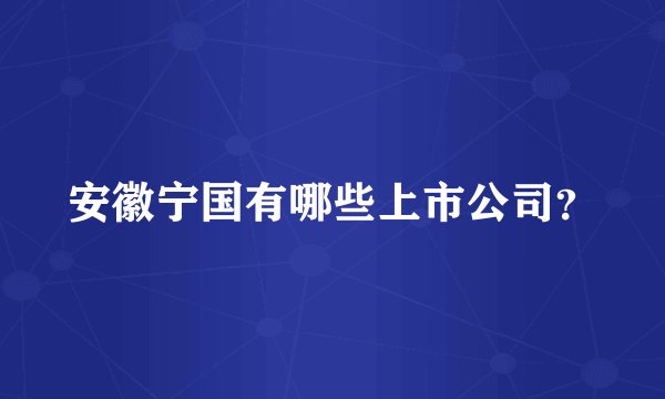 安徽宁国有哪些上市公司？