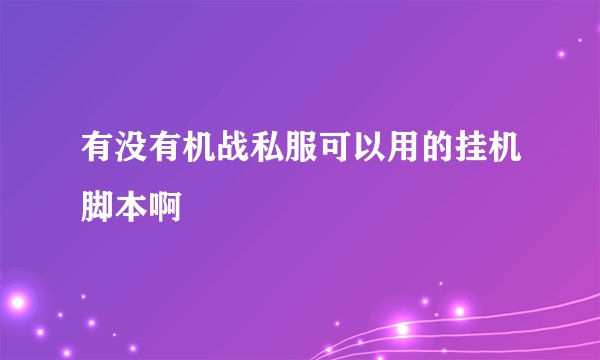 有没有机战私服可以用的挂机脚本啊