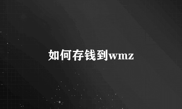 如何存钱到wmz