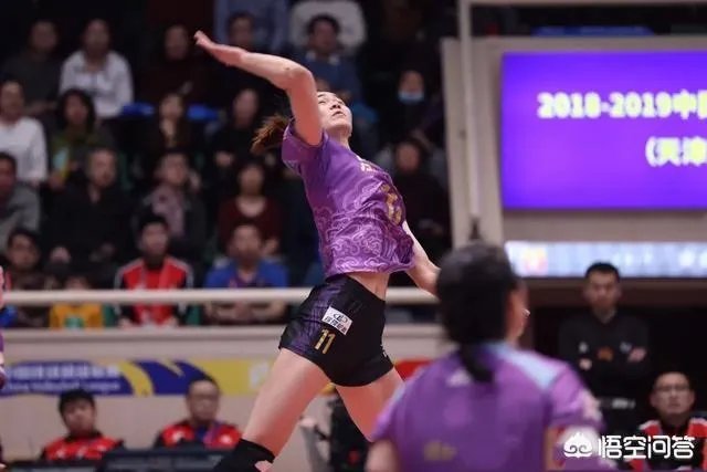 2018-2019女排全明星赛即将开赛,有哪些看点?你期待吗?