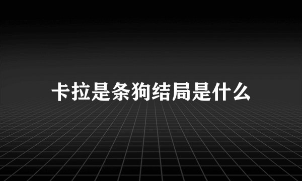 卡拉是条狗结局是什么