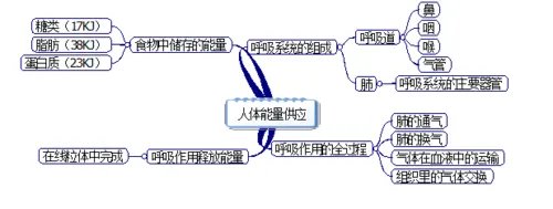初中生物知识点思维导图