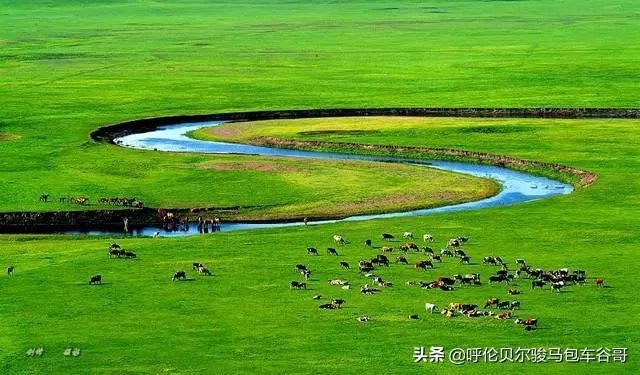 尼康d300s怎么样?