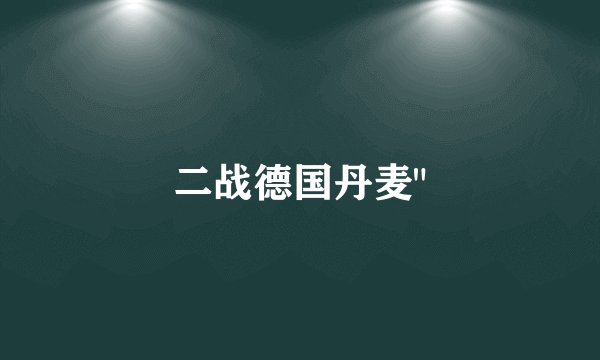 二战德国丹麦