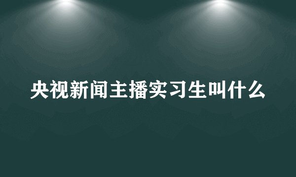 央视新闻主播实习生叫什么